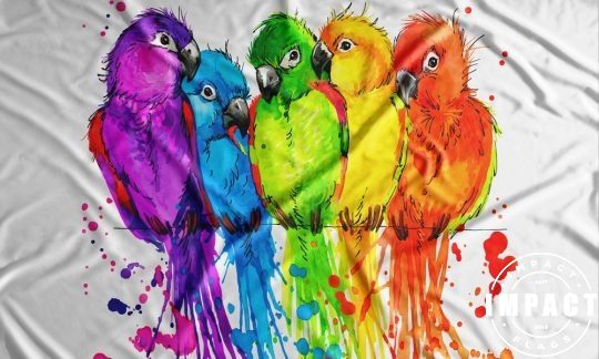 Rainbow Parrots Watercolour