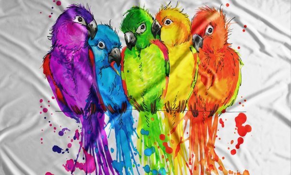 Rainbow Parrots Watercolour