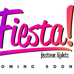 Festoon Lights Fiesta